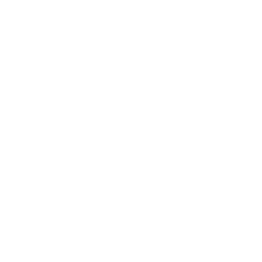 developer (1)